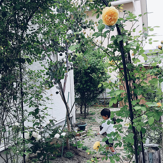 emiri0403さんの実例写真