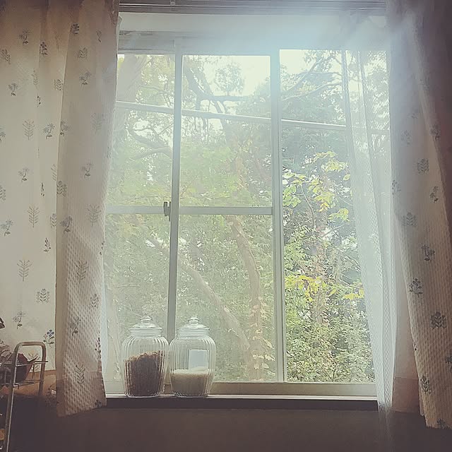 Midoriさんの実例写真