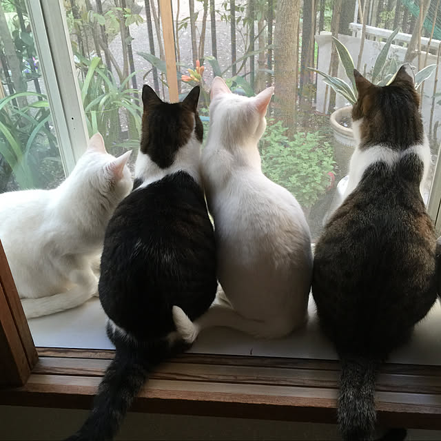 kuntaさんの実例写真