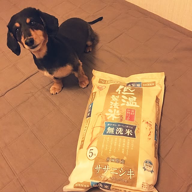 ohanaさんの実例写真