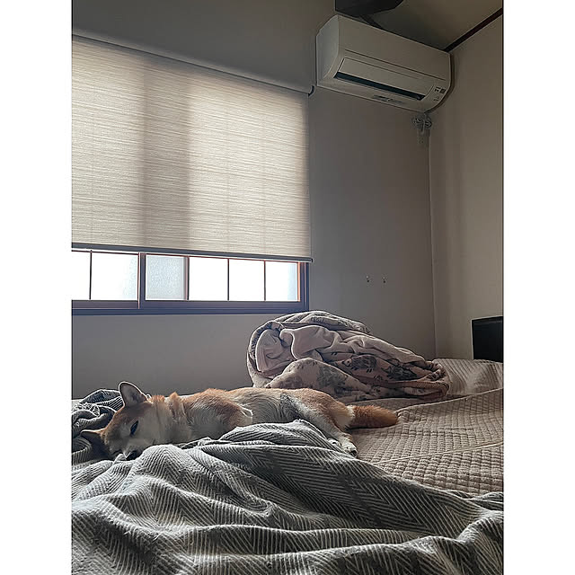 mionakiseさんの実例写真