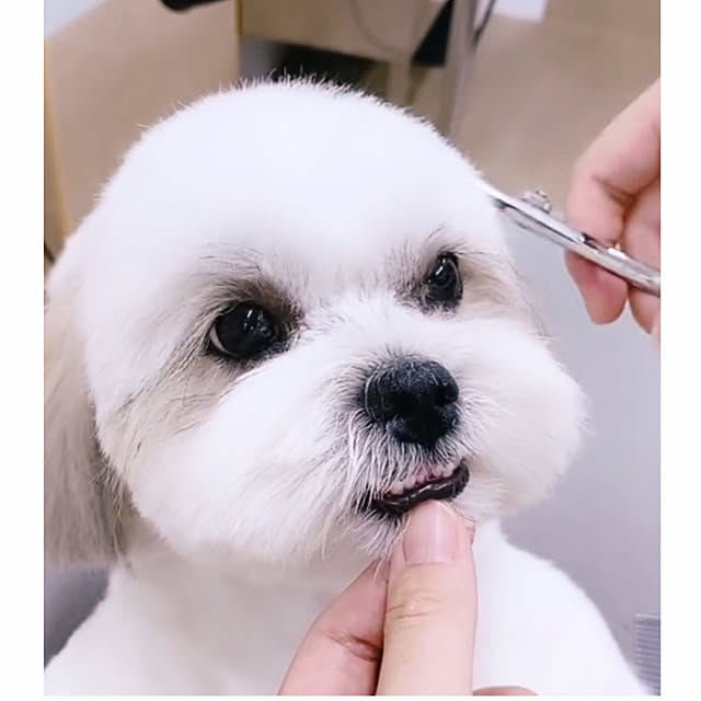 akさんの部屋