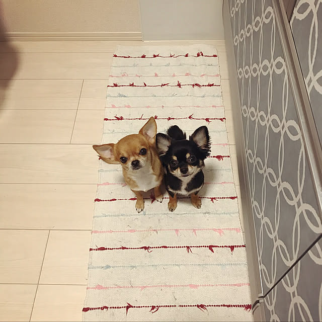 muccoさんの実例写真