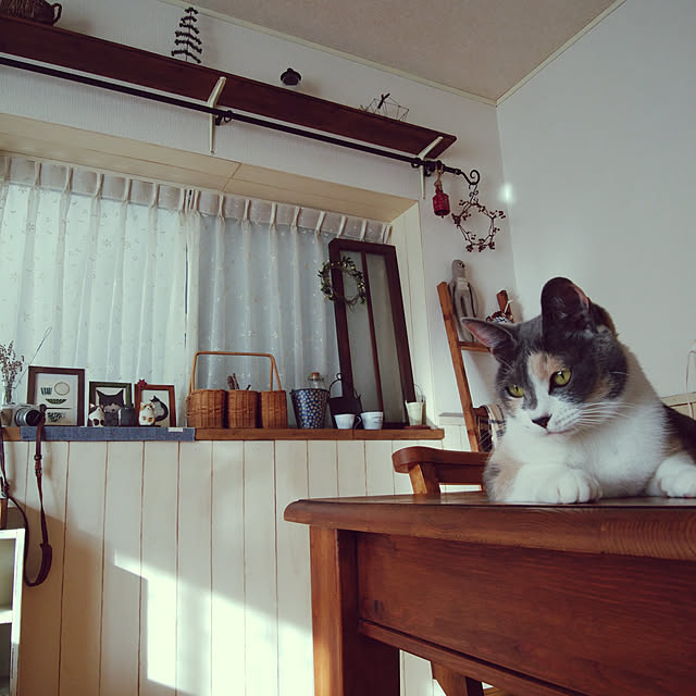 tomo1220さんの実例写真