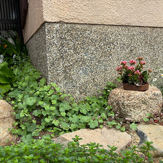 Mikazukiさんの部屋