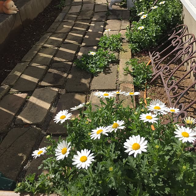 mikiponさんの実例写真