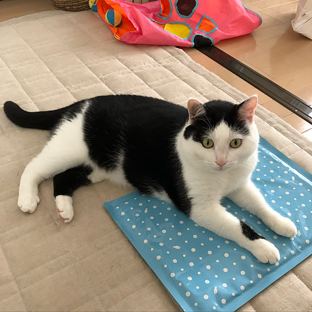 k.Iさんの実例写真