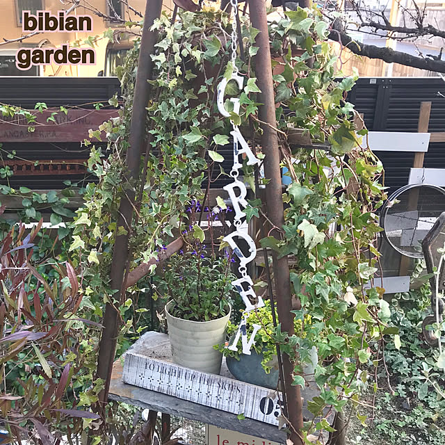 bibianさんの実例写真
