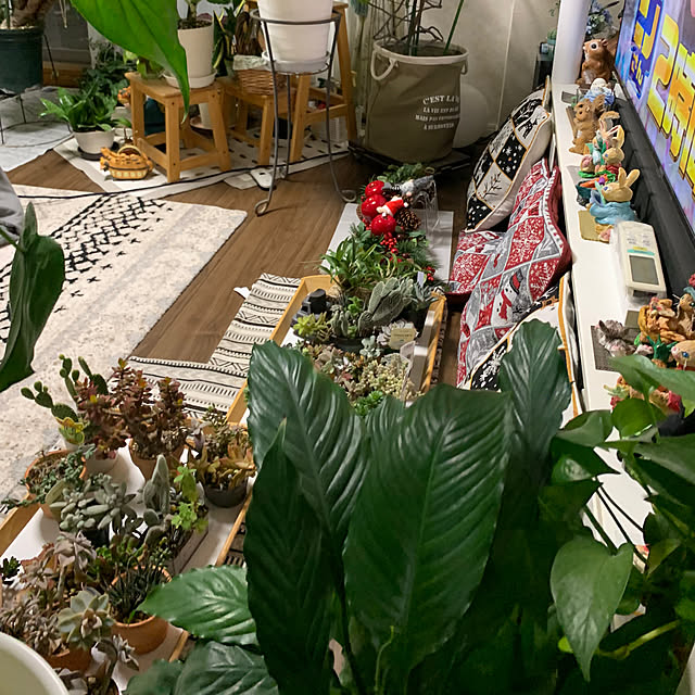 Aqettyさんの部屋