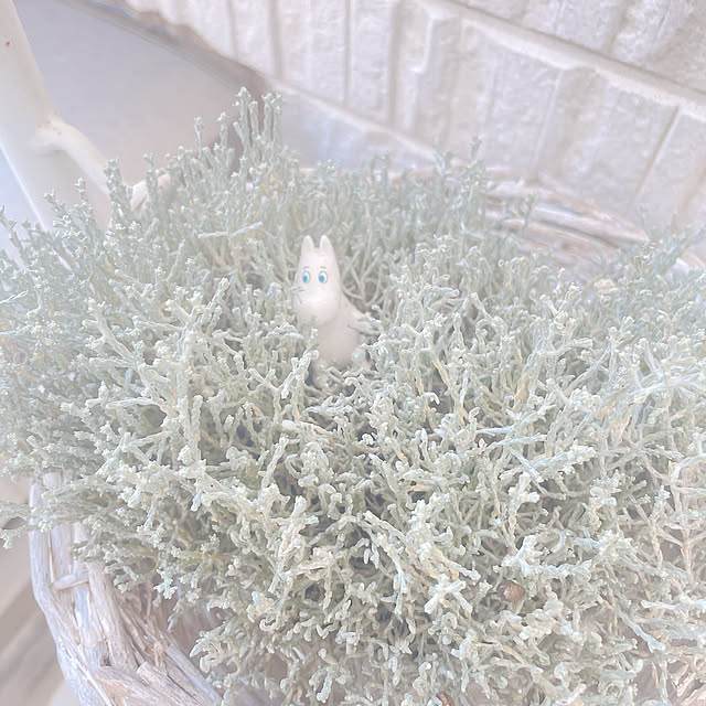 akiko-ovさんの部屋