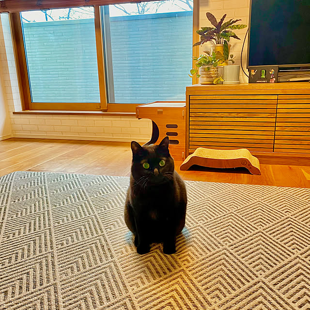 iiiyocoiiiさんの実例写真