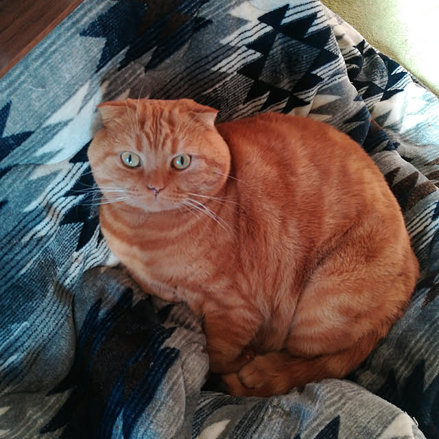 OUTANOOKANさんの実例写真