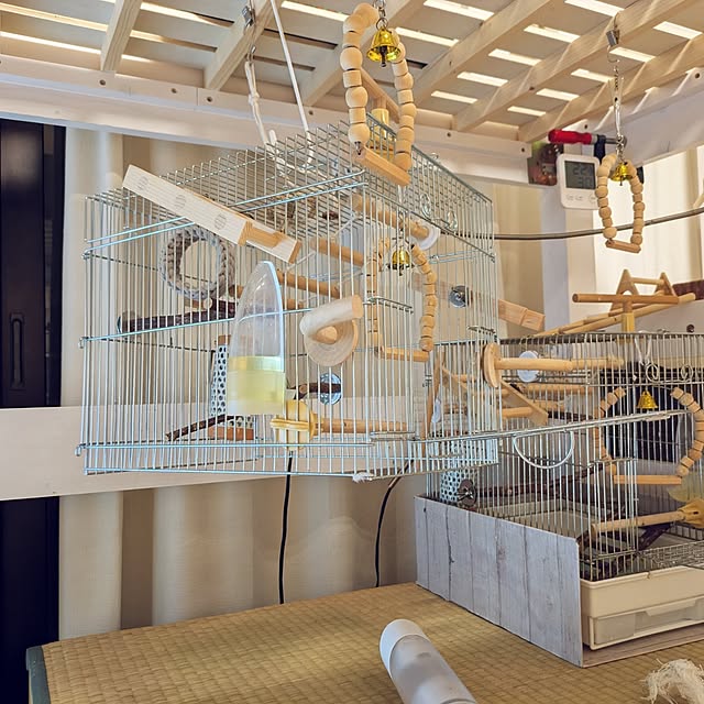 escargotさんの実例写真