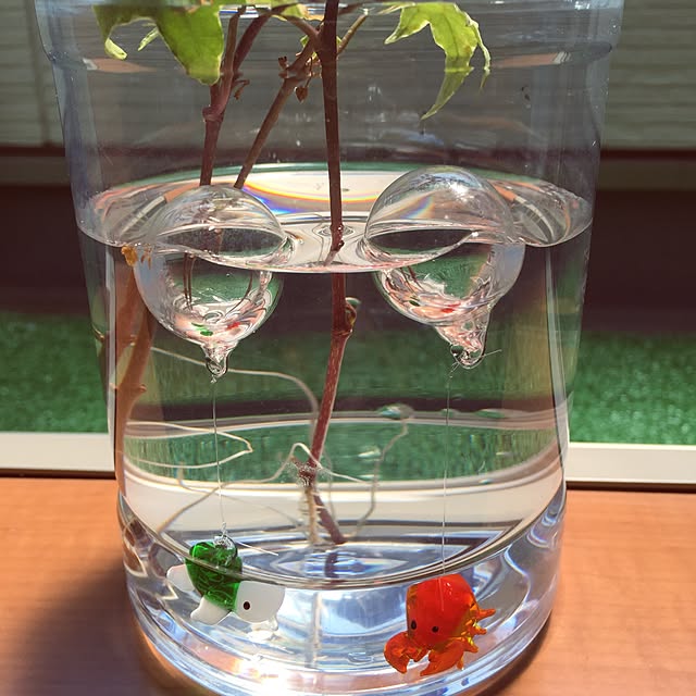 tiarellaさんの実例写真