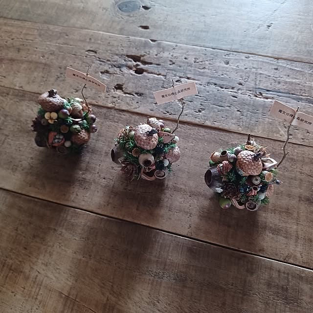 shituraeさんの部屋