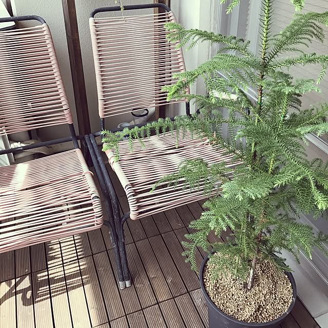 sachipon0801さんの実例写真
