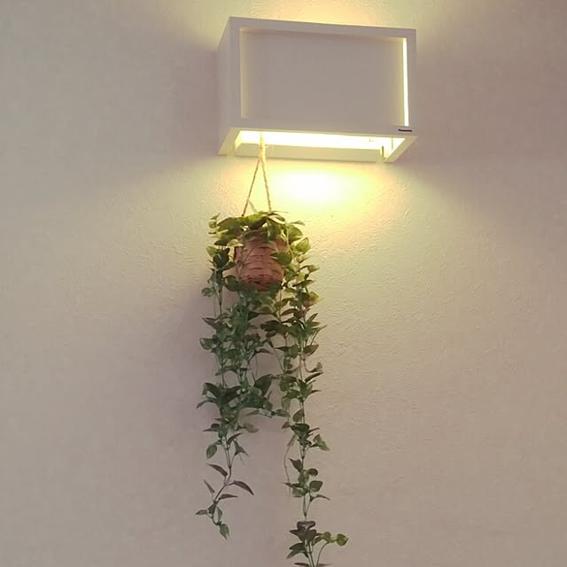 mocoさんの実例写真