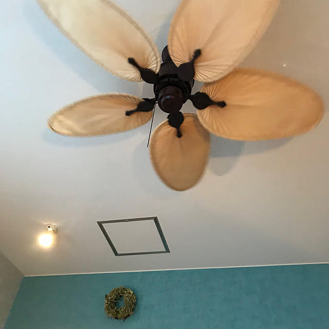 hoshicoさんの実例写真