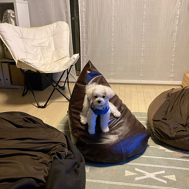 matsu_homeさんの実例写真