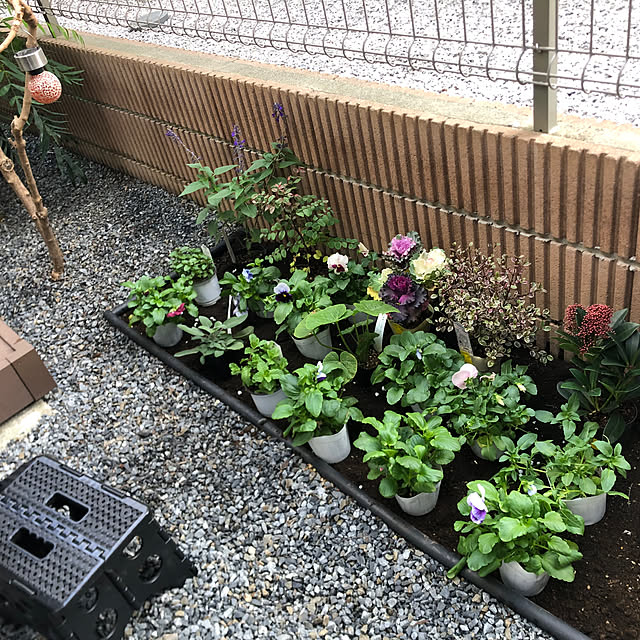 Rororiさんの部屋