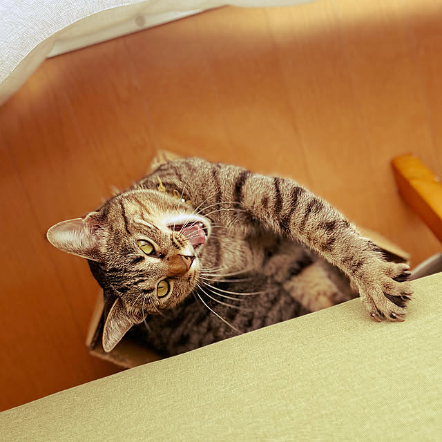 Mさんの実例写真
