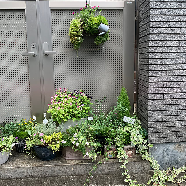 maayaさんの実例写真