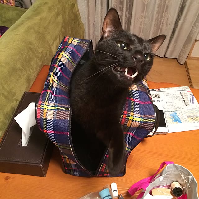 kuchiishiさんの実例写真