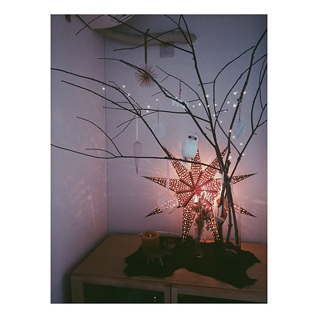 sarami100pさんの実例写真