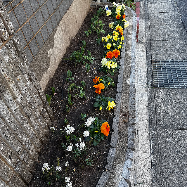 maruricoさんの部屋