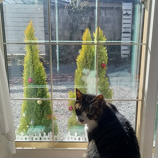 civicglさんの部屋