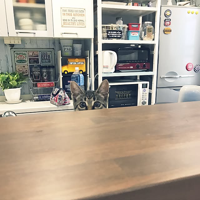 akkyさんの実例写真