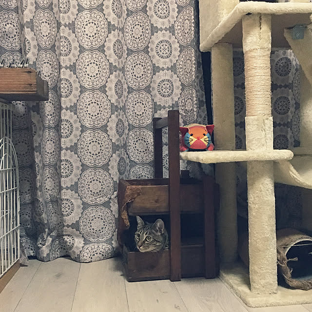 Mさんの実例写真