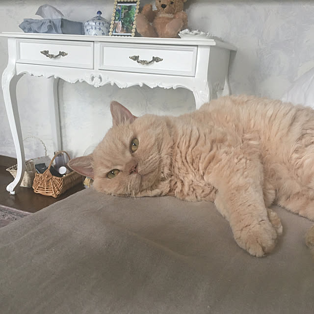 naokoさんの部屋