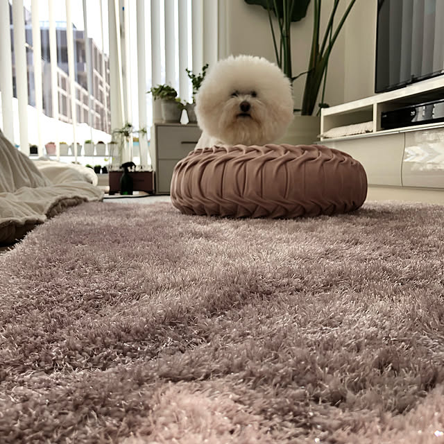 unichanさんの実例写真