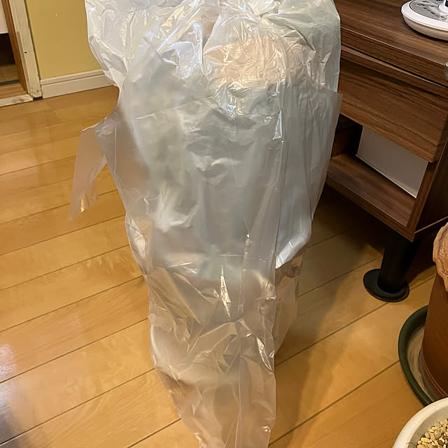 koshiregutyoさんの実例写真