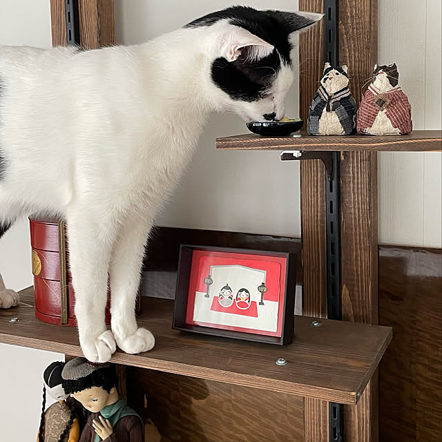 nobikoさんの実例写真