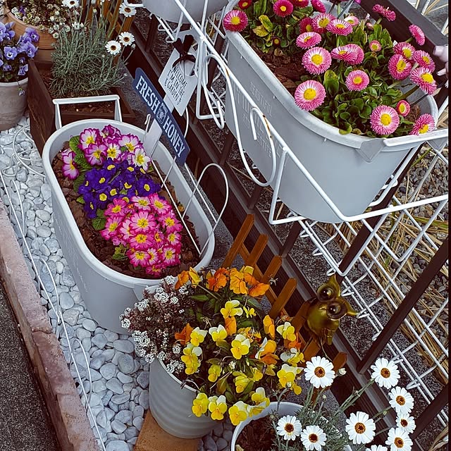 pomさんの実例写真