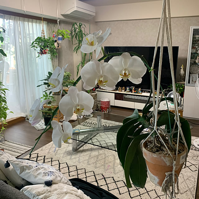 Aqettyさんの部屋