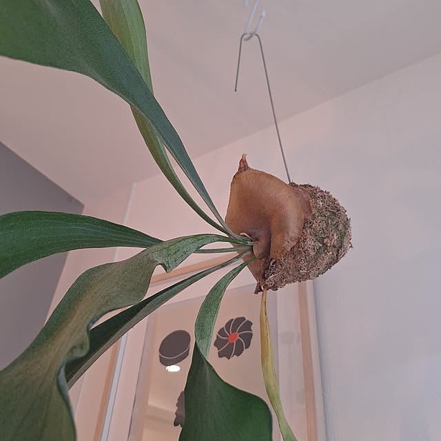 otokiさんの部屋
