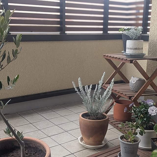 reeさんの実例写真