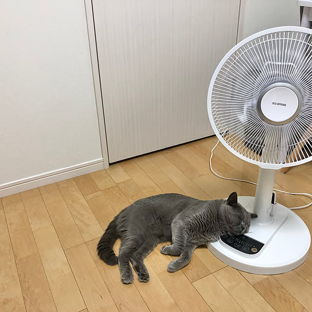 GUMIMINさんの実例写真