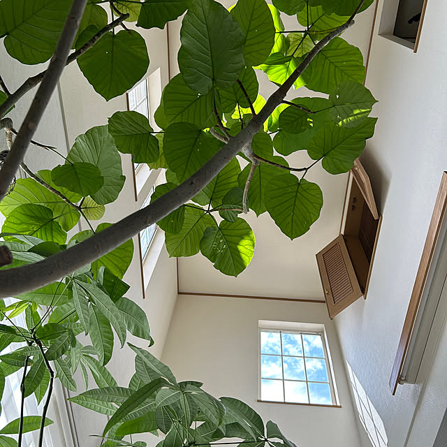 mocoさんの部屋