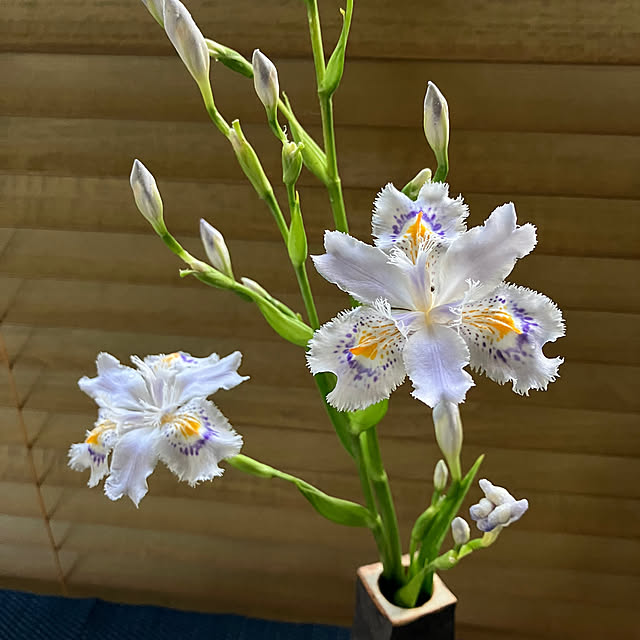 ikubooさんの部屋