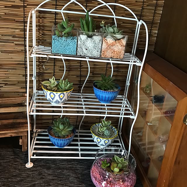 yamafamily_9さんの実例写真
