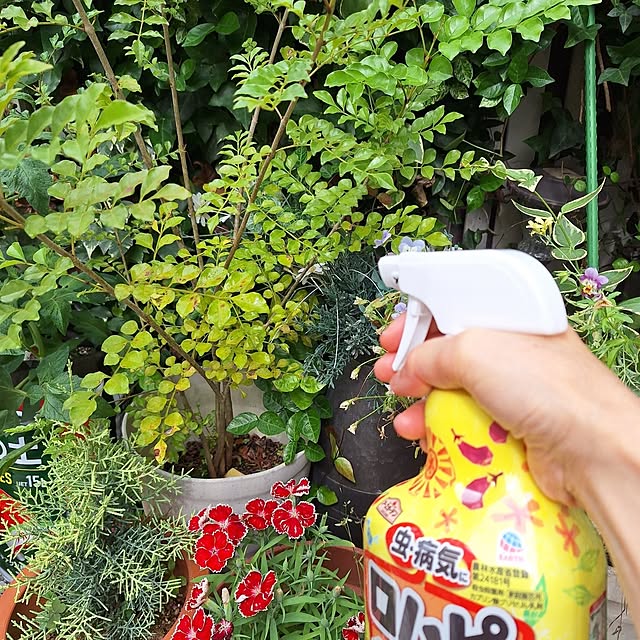 Blancheさんの部屋
