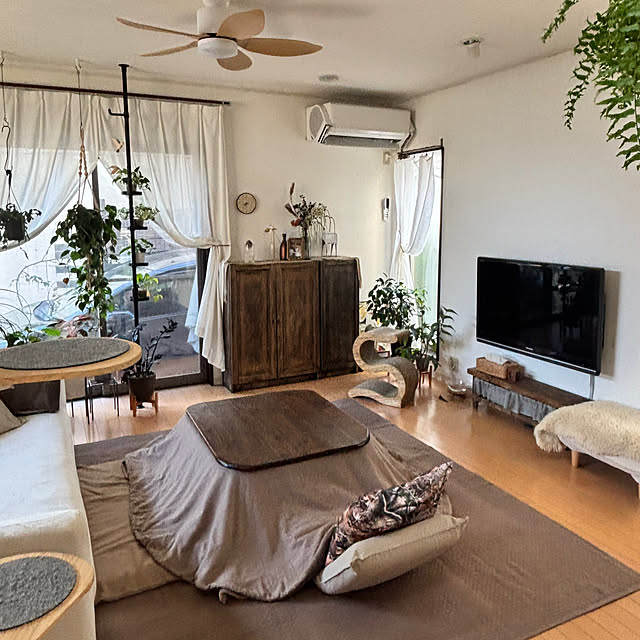 greycatsさんの部屋