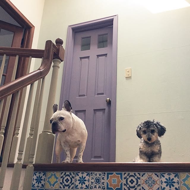 Fumikaさんの実例写真