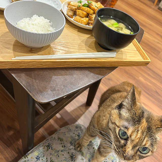 mikeume7さんの部屋