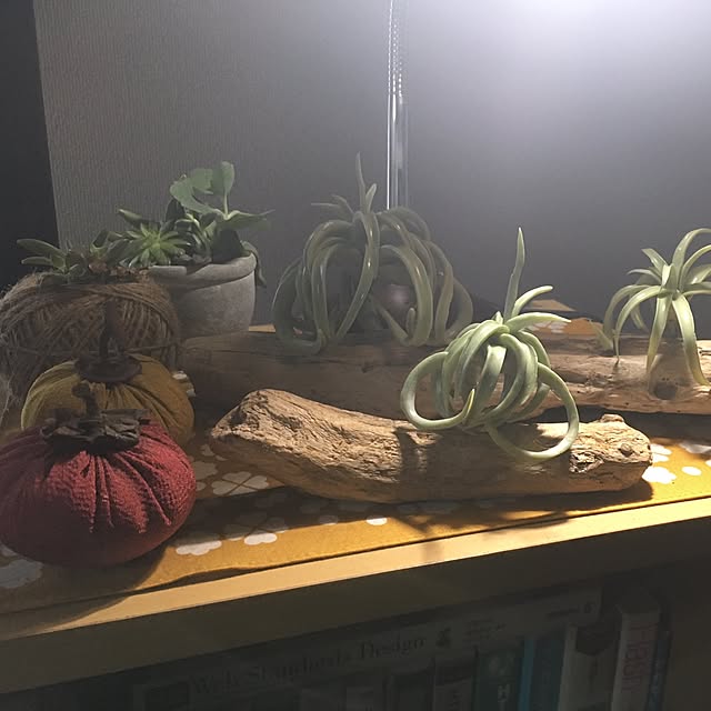 negishioさんの実例写真