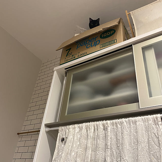 okapiさんの実例写真